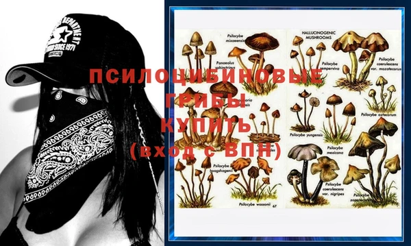 mdpv Алзамай