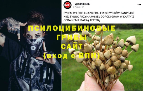 соль ск Алексин