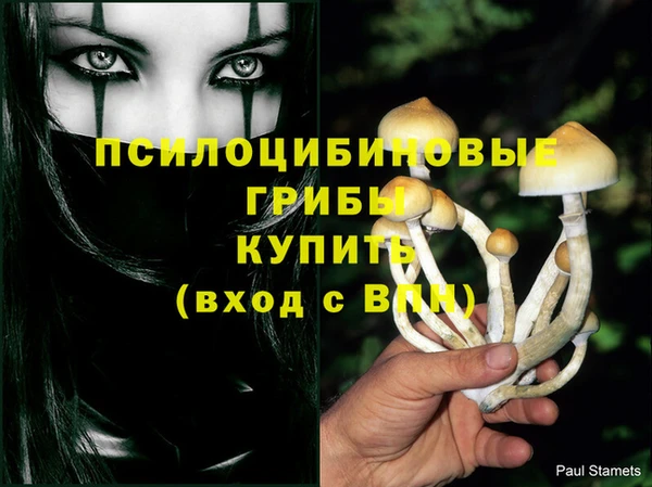 mdpv Алзамай
