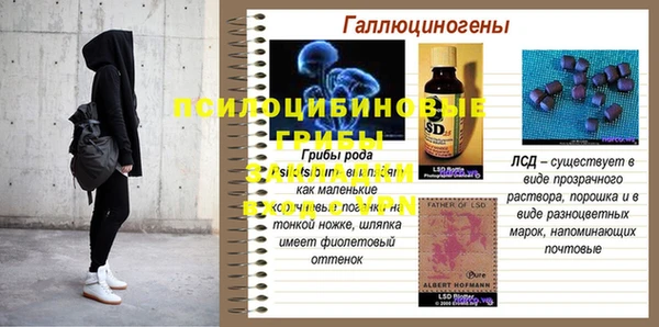 mdpv Алзамай