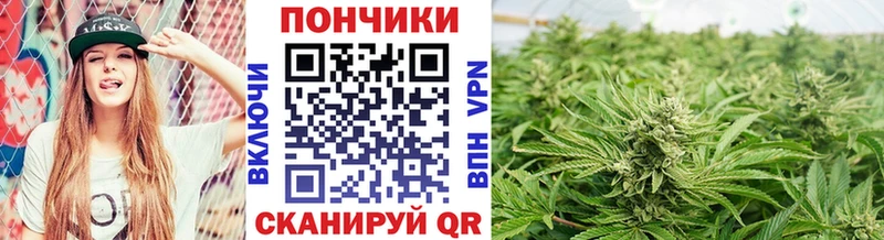 Каннабис Bruce Banner Порхов